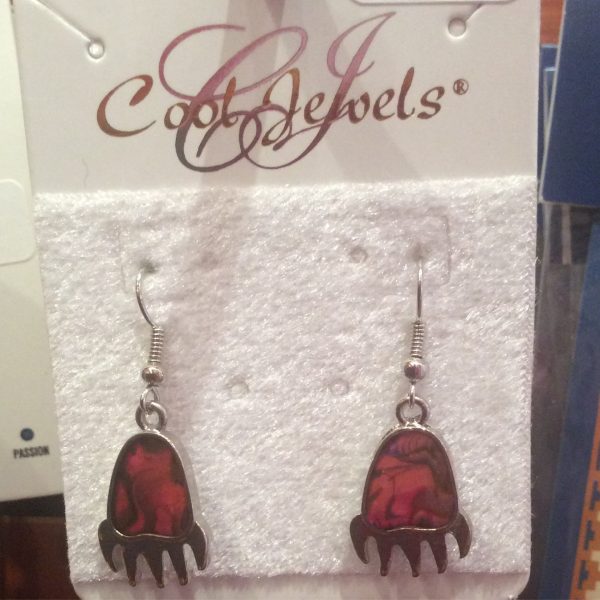 Cool Jewel Earrings