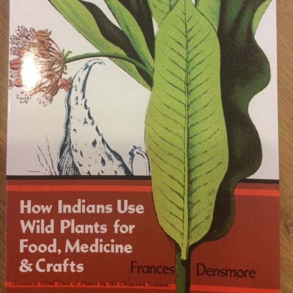 How Indians Use Wild Plants for Food, Medicine & Crafts